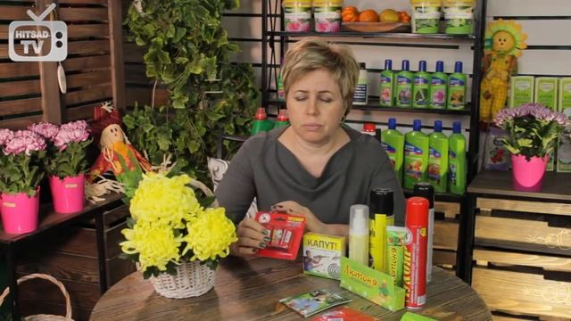 Как избавиться от мух? ? Полезные советы HitsadTV