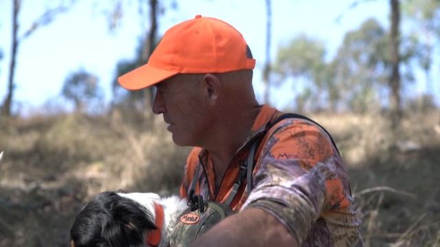 Охота на оленя. В поисках охотничьих трофеев. (Охотник и рыболов) смотреть онлайн