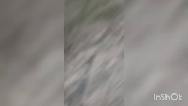Похищение друга.Всё идёт к концу.7 часть. смотреть онлайн