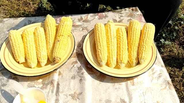 Готовим кукурузу на мангале со сливочным маслом смотреть онлайн