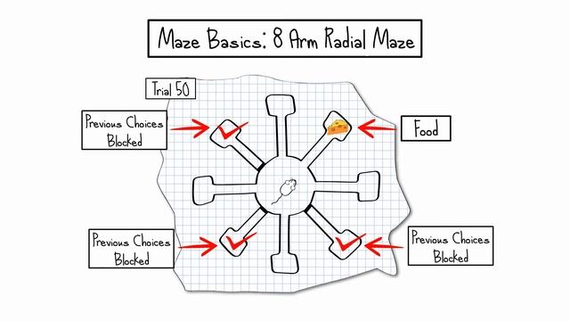 8 arm radial maze смотреть онлайн