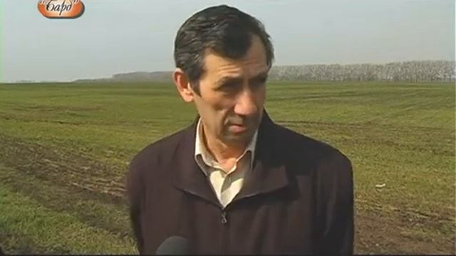 ЯК ПЕРЕЗИМУВАЛА ОЗИМИНА смотреть онлайн