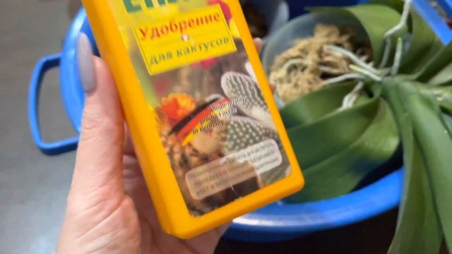 РЕТИНИЗАЦИЯ CLINICAL SOLUTIONS | СЕРИЯ КАМЕЛИЯ | МОЙ ОТЗЫВ VLOG:11.12.21 смотреть онлайн