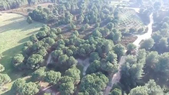 Греция 2018. Халкидики. Ситония. Orange Beach смотреть онлайн