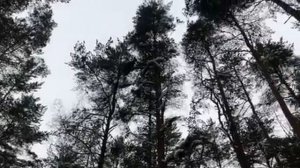 Жена пошла на измену из-за своей коллеги. Интересные истории измен, аудио рассказ