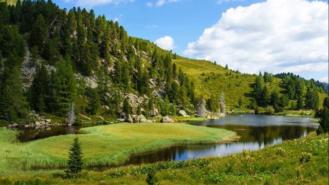 ЗЯТЬ ПОЛОЖИЛ ГЛАЗ НА КВАРТИРУ. ТЕЩА ЗАДУМАЛАСЬ.