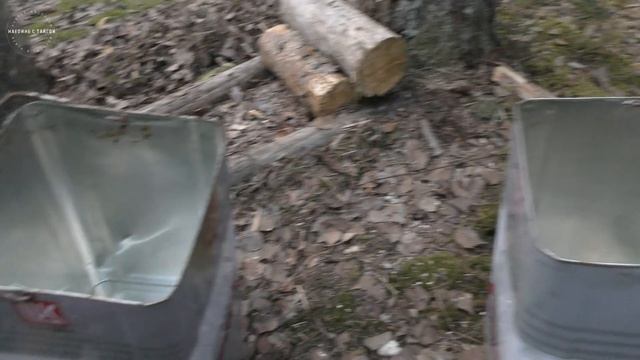 В дикую природу на 2 дня. Таежный быт: дрова и изба! / Отдых с батей в лесу / Часть 2 / 4К смотреть онлайн