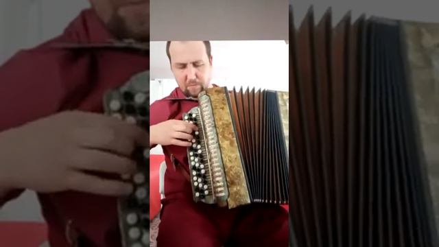 Игра на баяне "Изгиб гитары жёлтой". смотреть онлайн