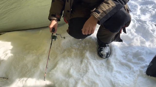 Сахалин. Зимняя рыбалка в прекрасной компании. Ловим селедку смотреть онлайн