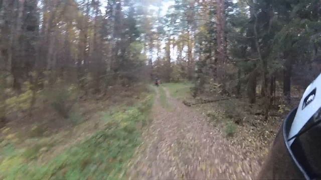 Егорьевск-Ялмонть-Шатура 05.10.2019 смотреть онлайн