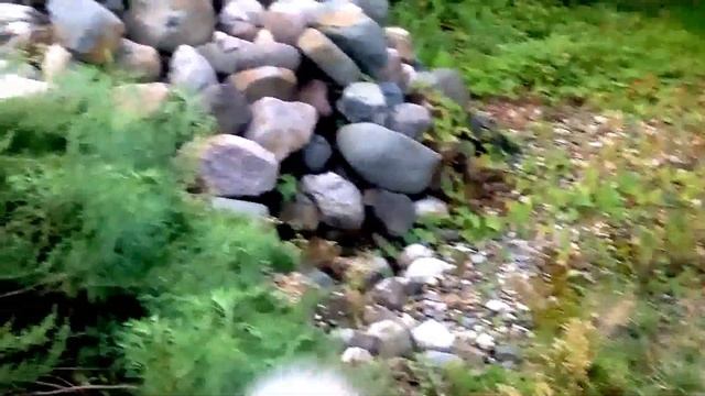 Продаётся дача в Ивановской области, 2 км от Волги. Купить дом Ивановская Область смотреть онлайн