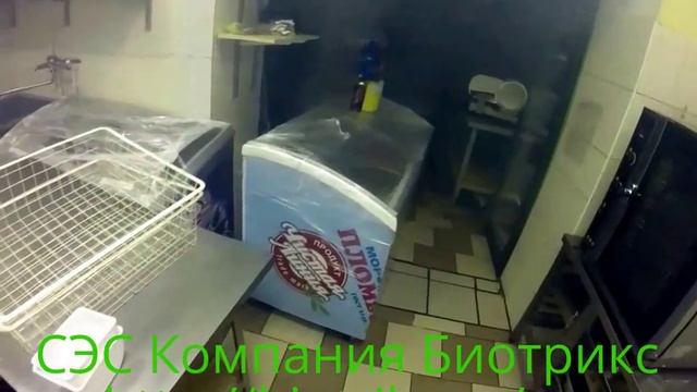 Дезинсекция кухни|Обработка ресторана от тараканов ГОРЯЧИМ ТУМАНОМ|СЭС Компания БИОТРИКС смотреть онлайн