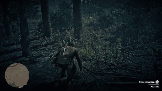 Red Dead Redemption 2 🎮 PS4 #6 НЕУДАЧНАЯ ОХОТА. Прохождение на русском. смотреть онлайн