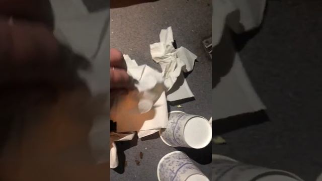 Страшная ночь в «Укрзалізниці» нашествие ТАРАКАНОВ смотреть онлайн