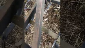 Самодельный культиватор на МТЗ.