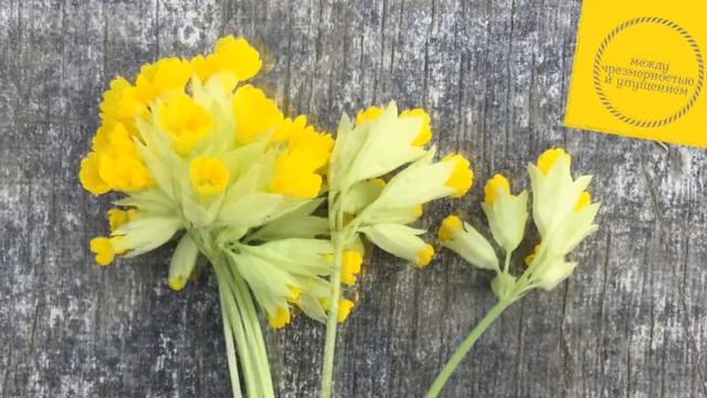 Портит ли уразу поллюция, произошедшая во время дневного сна / Шарх Булуг иль-марам смотреть онлайн