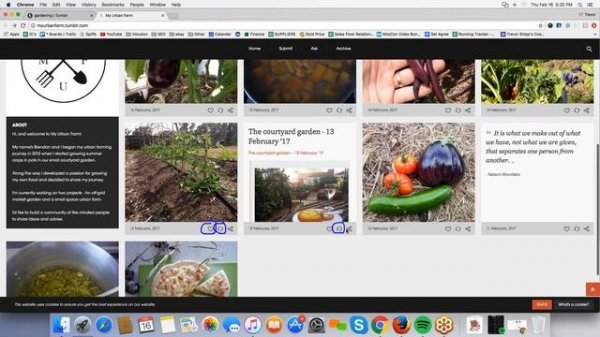 Tumblr 101 For Beginners