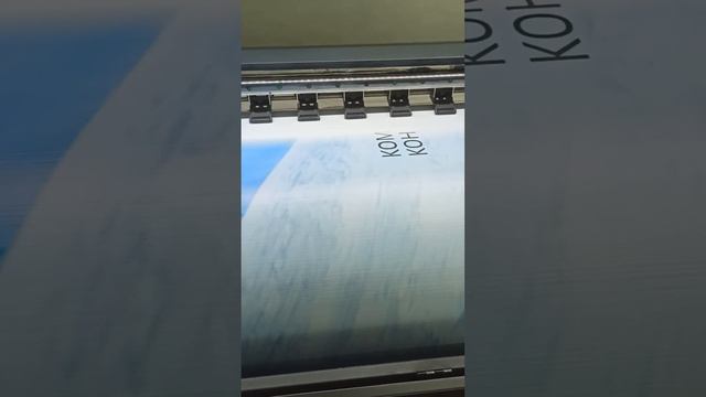 VID 20221130 153915 смотреть онлайн