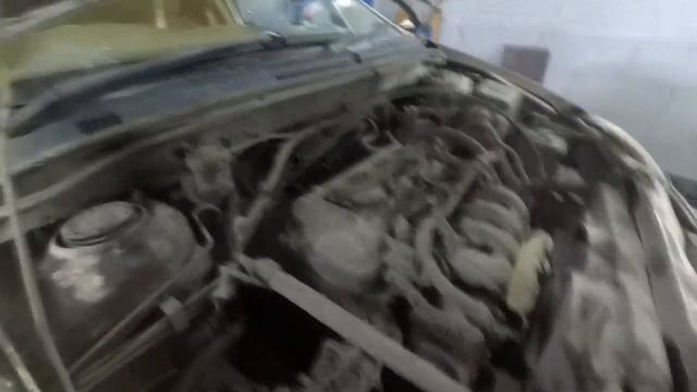 Toyota Corolla стерпит и такое.Мыть или не мыть двигатель? смотреть онлайн