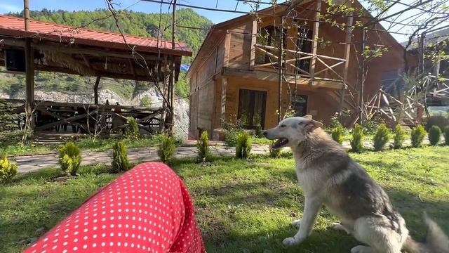 Батуми 2023. Выходные в Деревне. Guest House Okropilauri. Аждария. Водопад Махунцети. Грузия. смотреть онлайн