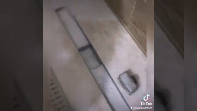 Как почистить душевой трап смотреть онлайн