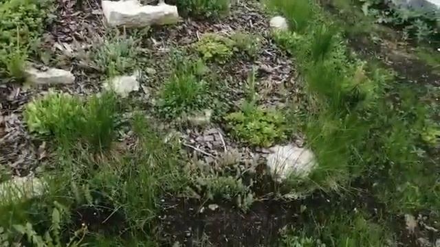 Горка на склоне смотреть онлайн