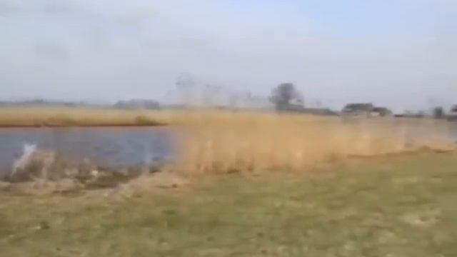 de Broekpolder смотреть онлайн