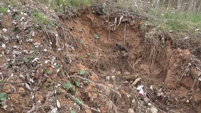 Буржуйские дома. Параша за забор. смотреть онлайн