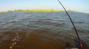 Ловля щуки на воблер Tsuyoki Draga 130 sp.