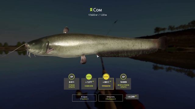 🟢 Русская рыбалка 4. Река АХТУБА. СОМ 🟢 Russian fishing 4. AKHTUBA River. CATFISH 🟢 смотреть онлайн