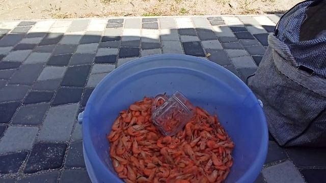 Хранение Креветки Часть Вторая,. Двойное-Тройное Дно!!!)) смотреть онлайн
