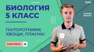 Папоротники, хвощи, плауны. Видеоурок 31. Биология 5 класс
