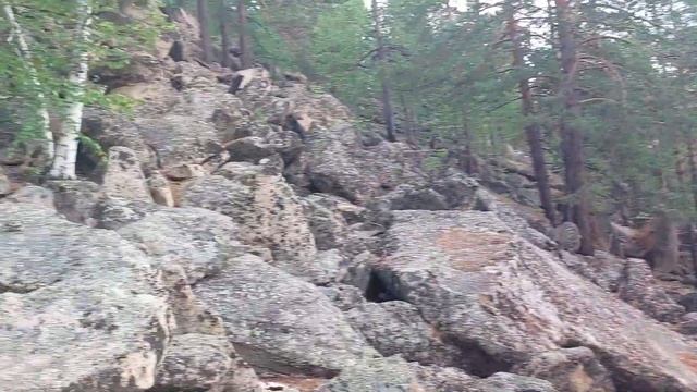 Арача - место силы или где провести выходной #chipmunks #travel смотреть онлайн