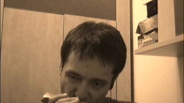 scarborough fair on double reeds harmonica смотреть онлайн