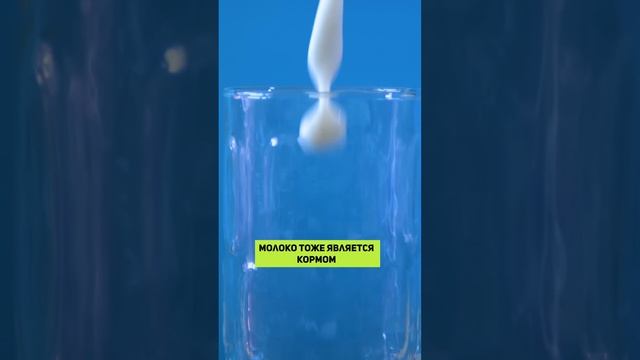 Не ешьте ЭТО перед СНОМ! #сон #здоровье #продукты