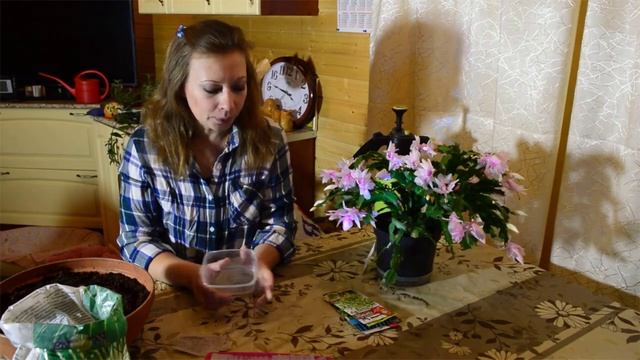 ???Какими травами, овощами, ягодами украсить подоконник, балкон этой весной. ОГОРОД НА ПОДОКОННИК смотреть онлайн