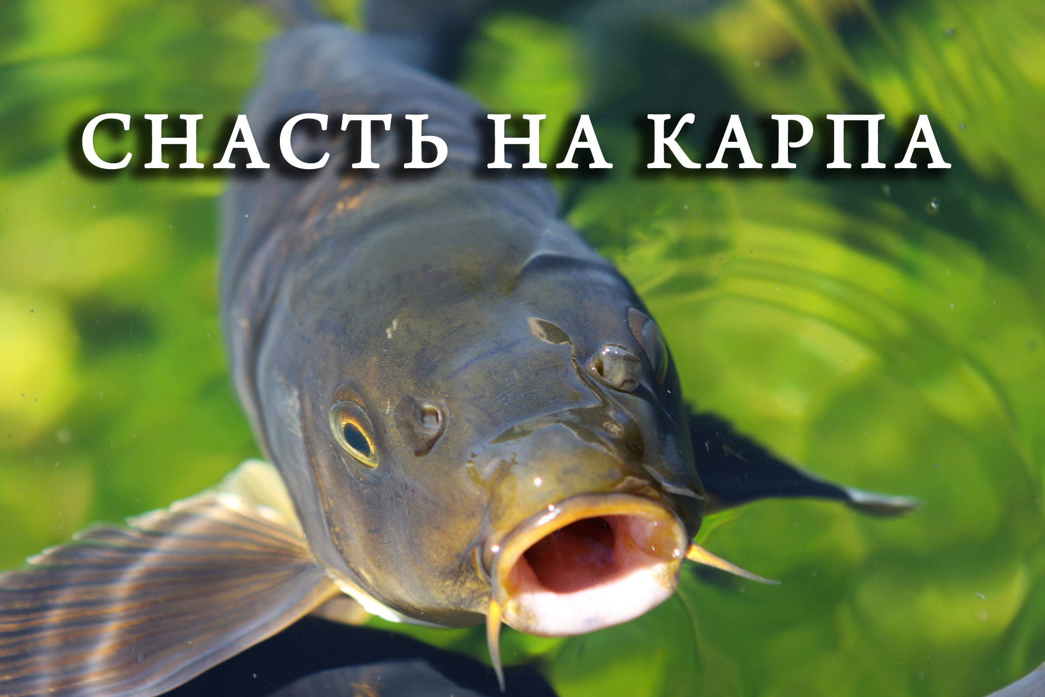 Снасть для ловли. как правильно связать снасть на карпа смотреть онлайн