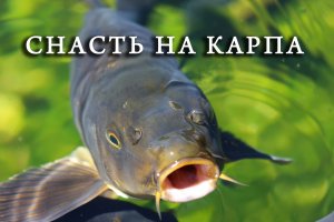 Снасть для ловли. как правильно связать снасть на карпа