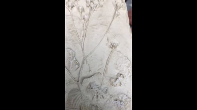 Ботанический барельеф из гипса своими руками#декордлядома#homedecor#botanicaldecor