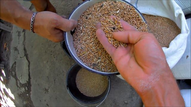 Закупили зерно голубям. Что купили и на сколько нам этого хватит?Корм для голубей 2022.Голуби рады: смотреть онлайн