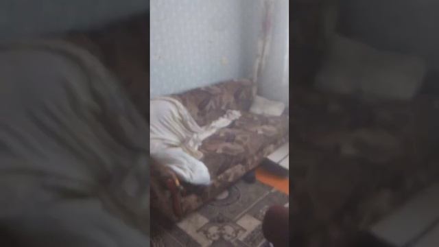 колесо фортуны 2часть с мишой смотреть онлайн