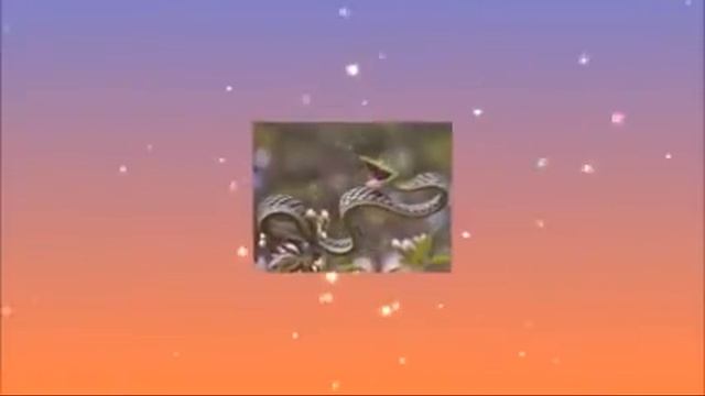 страна загадка смотреть онлайн