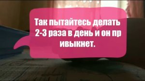 Что делать если хомячок кусается