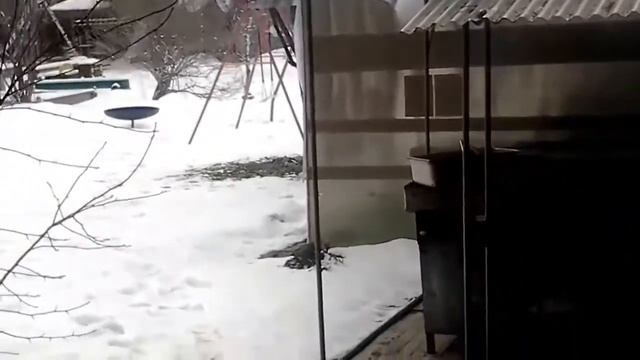 Экотель Снегирек. смотреть онлайн