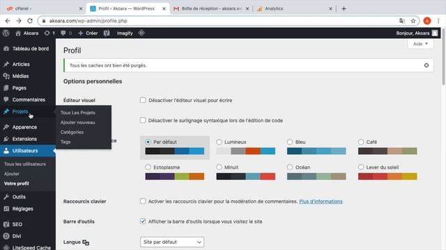 Tutoriel WordPress (6.1) : Google Analytics WordPress смотреть онлайн