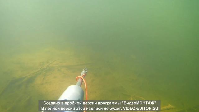 Подводная охота на Можайке 2018 смотреть онлайн