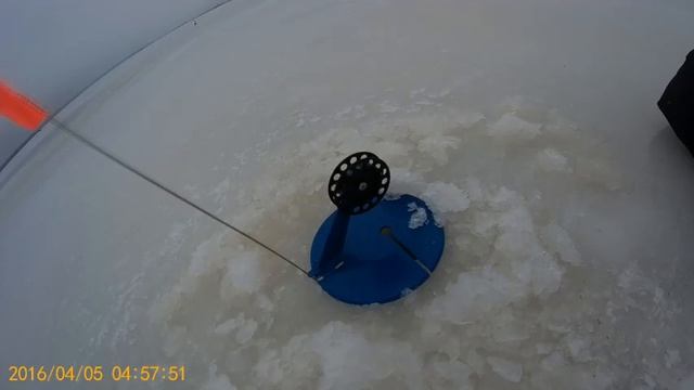 ОПЯТЬ ПОЛУБАРСКОЕ,ЩУКА . смотреть онлайн