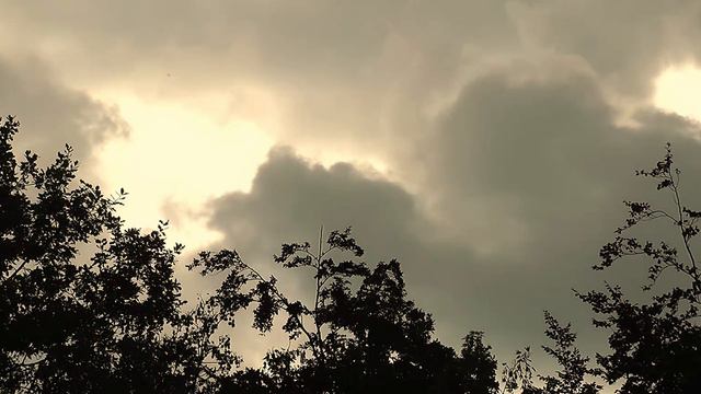 Xerxes & The Invasion Of Greece Documentary