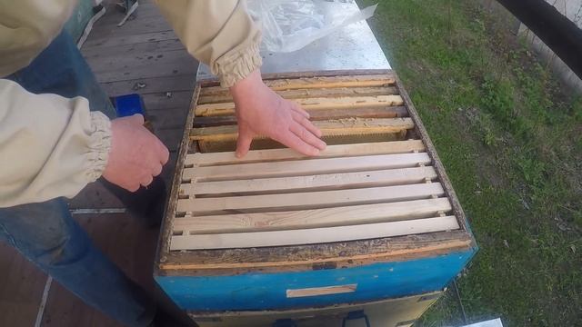 Когда ставить магазины пчелам Пчеловодство На пасеке апрель смотреть онлайн