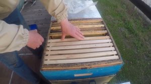 Когда  ставить магазины пчелам Пчеловодство На пасеке апрель